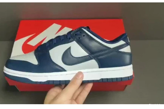 Low Georgetown Nike CW1590-004 Dunk 1005